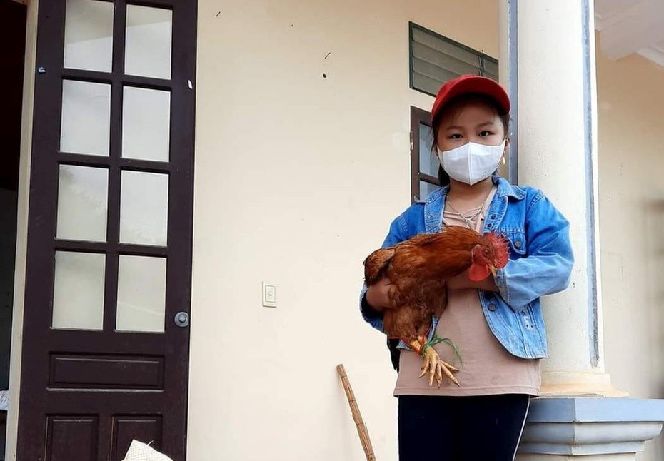 Xúc động hình ảnh bé gái tiểu học ôm gà đi ủng hộ chống dịch