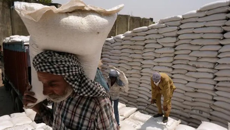 WTO: Các nước không nên cấm hoặc hạn chế xuất khẩu lương thực