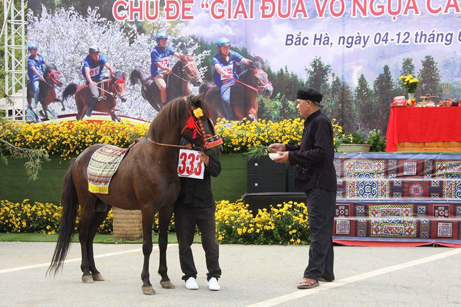 Rộn vang vó ngựa mở màn Festival Cao nguyên trắng Bắc Hà 2022