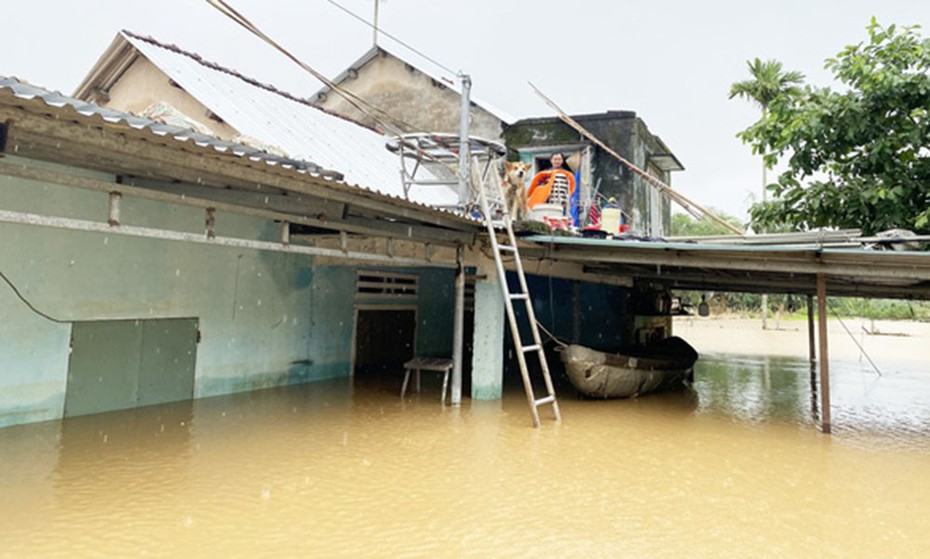 Bản tin 16/10: Mưa lũ làm hơn 4.000 ngôi nhà ở tỉnh Quảng Nam bị ngập sâu; 5 ô tô tông liên hoàn trên cao tốc Tp.HCM - Trung Lương