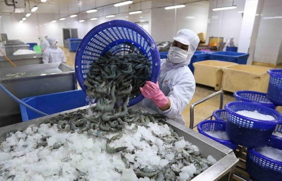 Cà Mau: Tập trung mũi nhọn cho xuất khẩu tôm