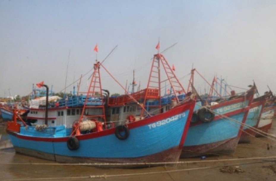 Tiền Giang: Phát triển nghề cá bền vững gắn với phòng chống IUU