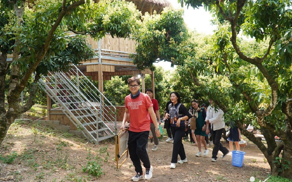 Bắc Giang: Khách sẵn sàng chi cả chục triệu mua vải thiều nguyên cây