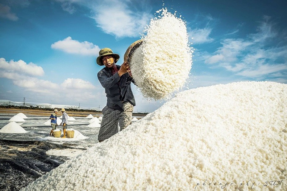 Nỗ lực đưa ngành muối trở về đúng vị thế