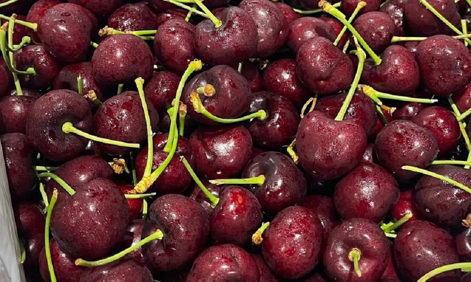 Cherry Mỹ về Việt Nam giá rẻ bất ngờ