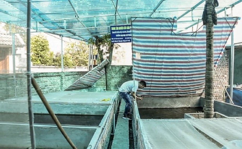 Nuôi con vật “hiếm có, khó tìm”, anh nông dân đút túi nửa tỷ mỗi năm