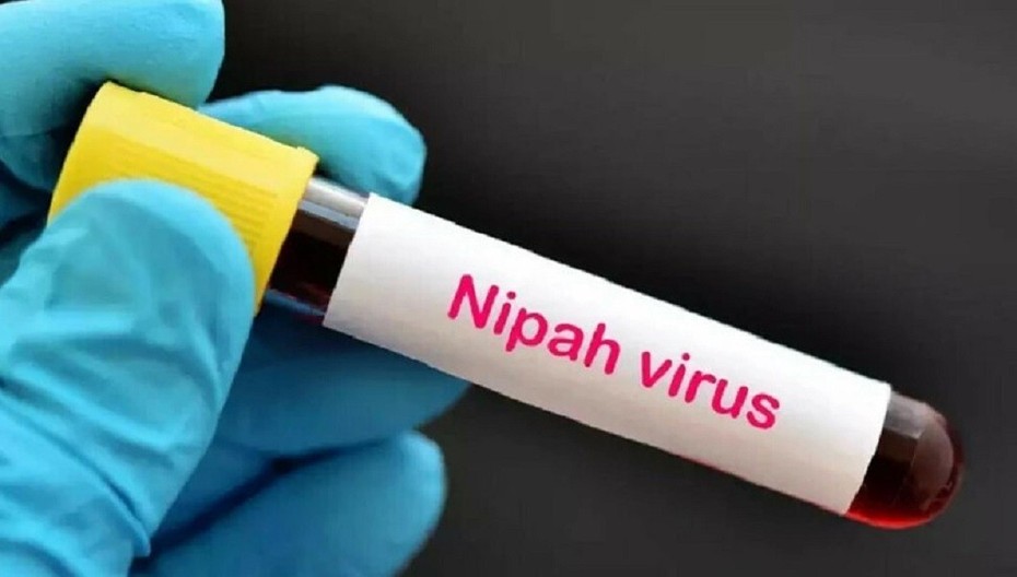 Bangladesh ghi nhận ca tử vong đầu tiên do virus Nipah trong năm 2024