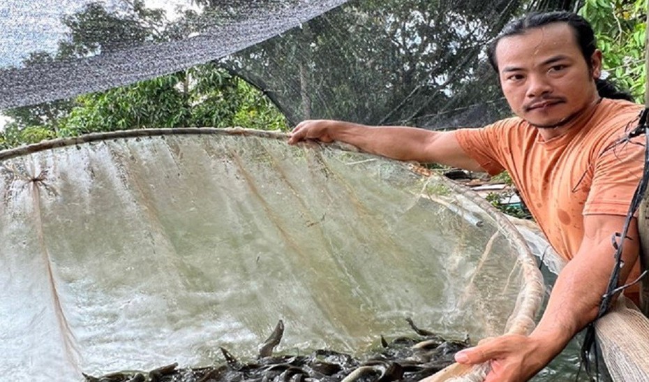 Anh nông dân kiếm hàng tỷ đồng nhờ nuôi con "đặc sản” trong bể lót bạt