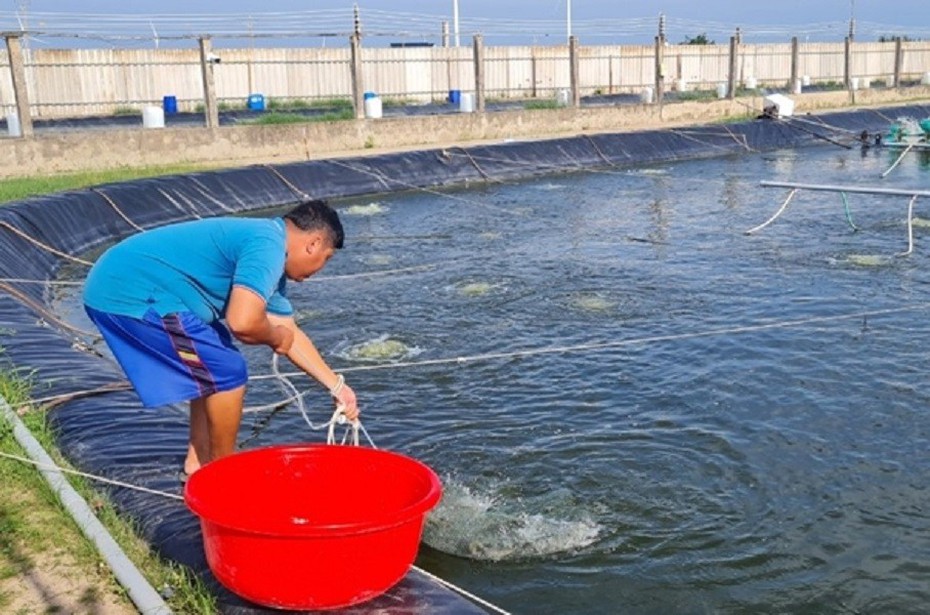 Anh nông dân nhẹ nhàng bỏ túi 90 tỷ nhờ nuôi con "hiền lành như đất"