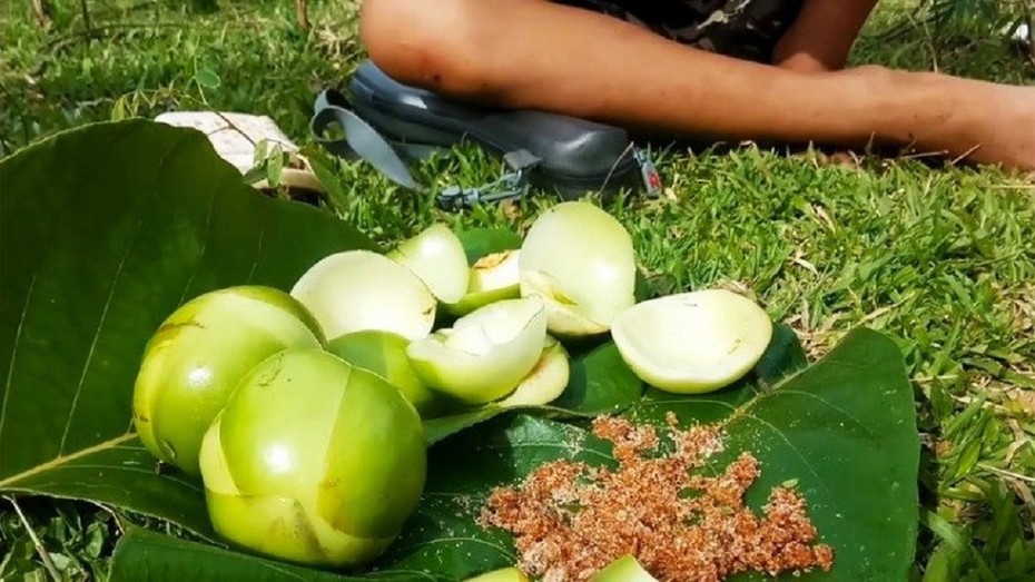 Loại quả dại xưa không ai ngó nay thành đặc sản mùa hè,120.000 đồng/kg