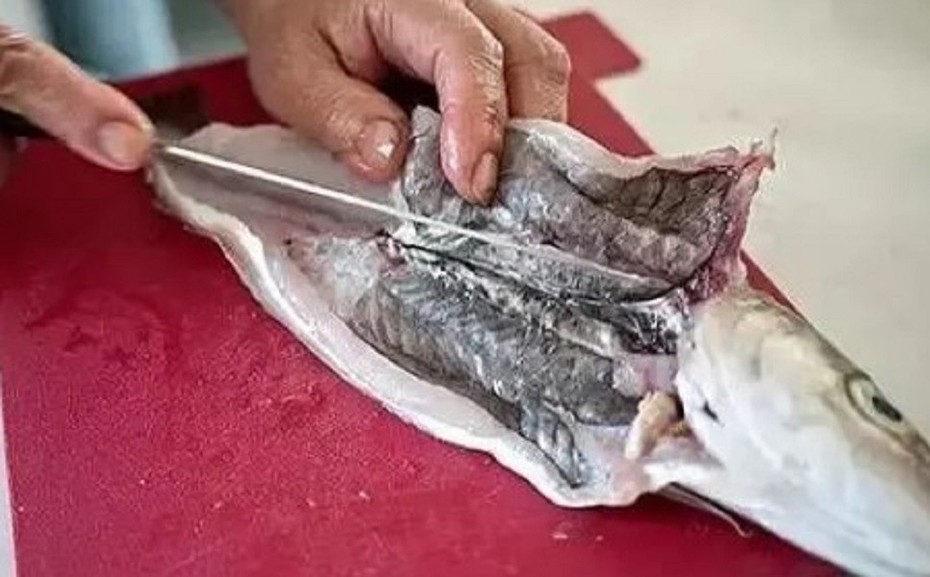 Những loại cá "ngậm" đầy thuỷ ngân, rẻ đến mấy cũng chớ nên mua