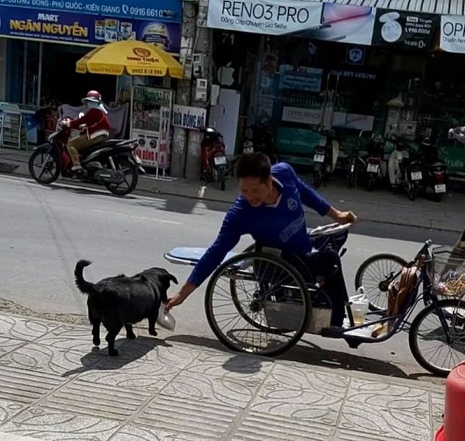 Clip: Cảm động chú chó Phú Quốc xếp hàng nhận gạo thay chủ nhân tật nguyền