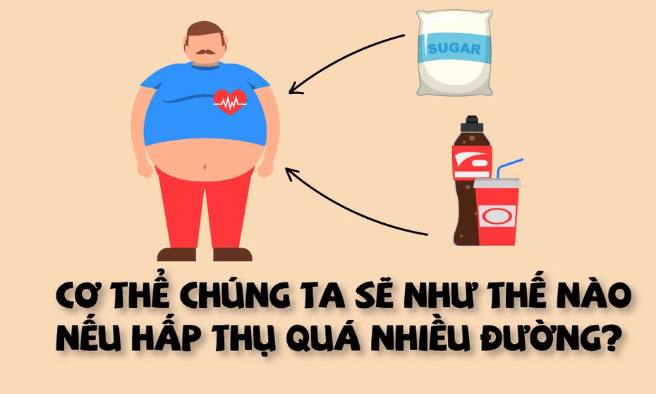 [info] Cơ thể chúng ta sẽ như thế nào nếu hấp thụ quá nhiều đường?