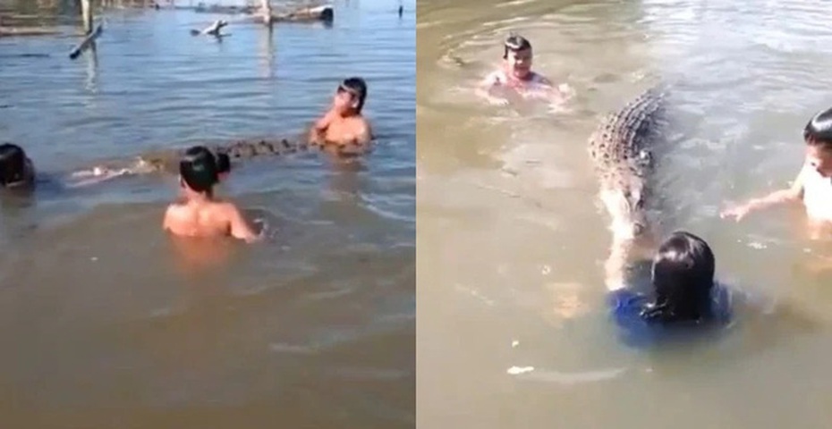 Clip: Rùng mình cảnh nhóm trẻ hồn nhiên "thi bơi" cùng cá sấu dưới sông