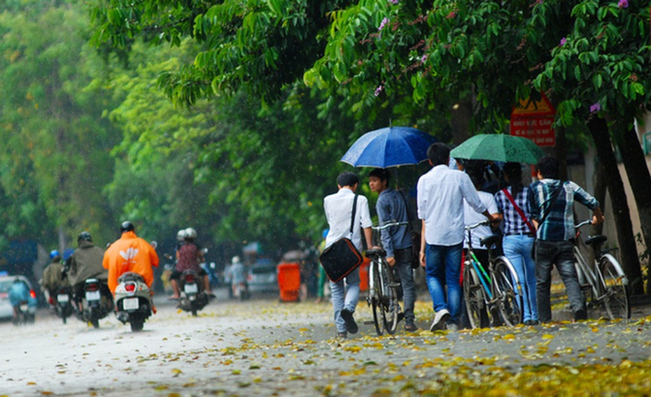 Dự báo thời tiết ngày 25/8/2020: Miền Bắc không khí mát mẻ, dễ chịu