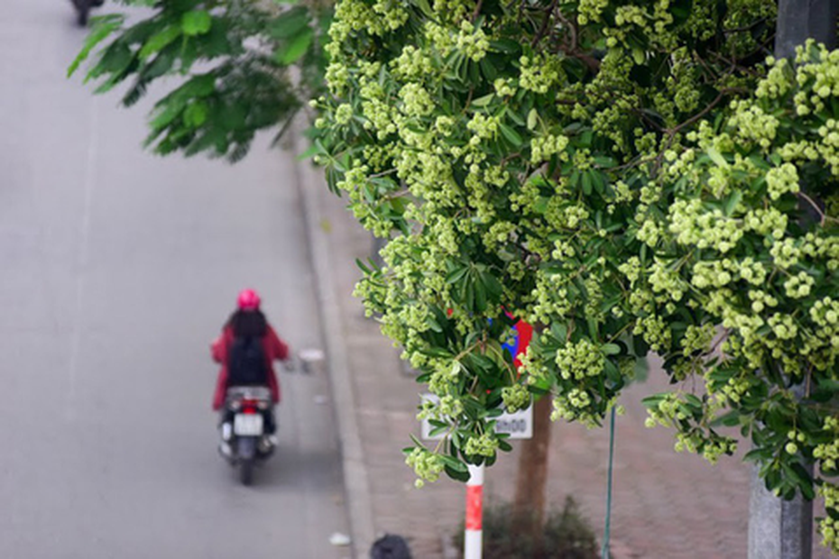 Dự báo thời tiết ngày 22/9/2020: Đồng bằng Bắc Bộ tiếp tục xuất hiện mưa rào và dông rải rác