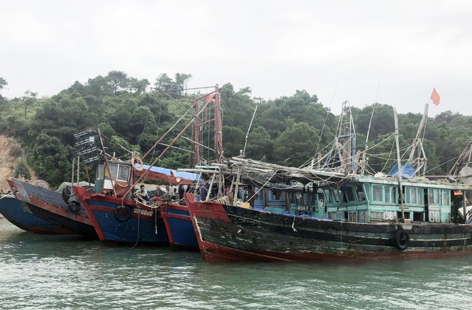 Quảng Ninh: Bắt giữ 5 tàu khai thác thủy sản trái phép