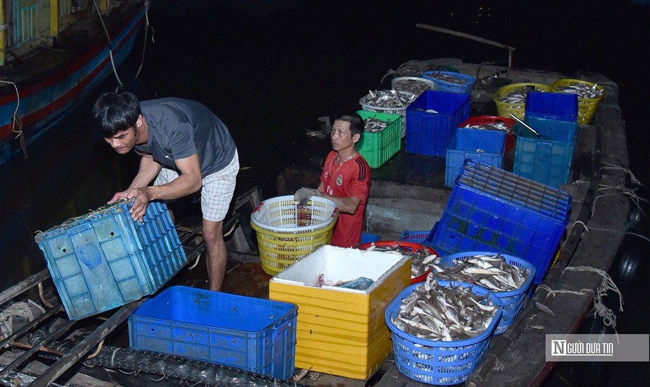 Hải Phòng: Ngư dân phấn khởi vì “lộc biển” đầu Xuân được giá