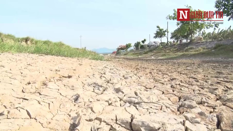 Quảng Bình đối diện với hạn hán, gần 1000ha lúa nguy cơ bị cháy