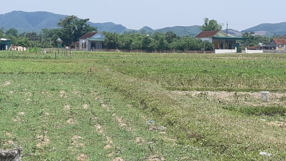 Hai người đàn ông bị sét đánh tử vong khi đi làm đồng