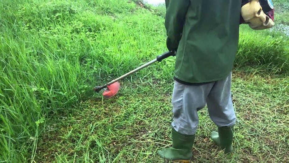 Bé gái bị lưỡi máy cắt cỏ văng trúng bụng, ông nội cuống quýt sơ cứu bằng kim khâu quần áo