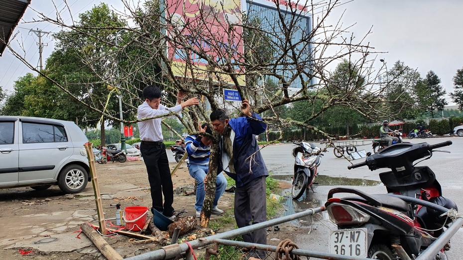 Những phận đời mưu sinh ngày cận Tết để “bánh chưng có thêm chút thịt lợn”