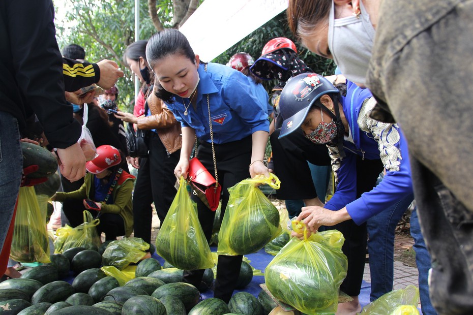 Tuổi trẻ phố biển xứ Nghệ chung tay “giải cứu” dưa hấu