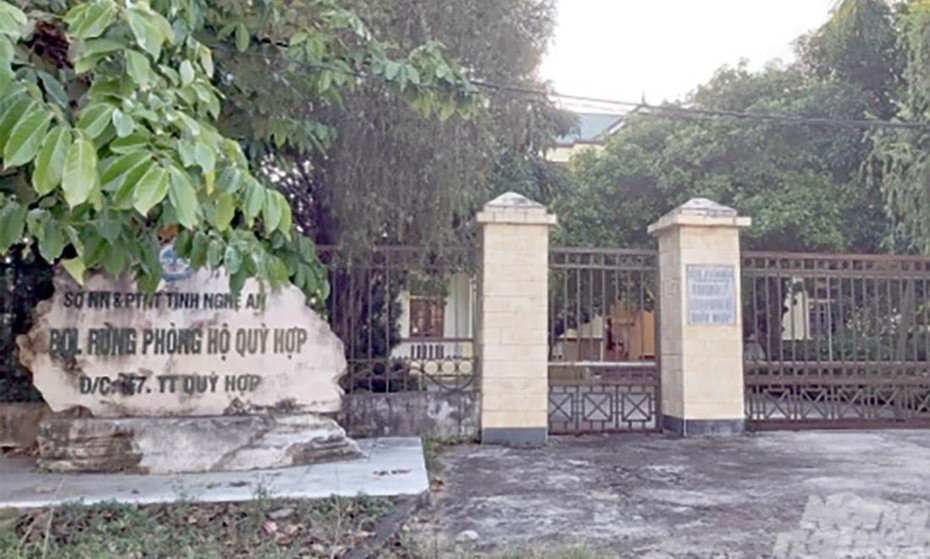 Bán rừng phòng hộ đầu nguồn, Trưởng, phó ban quản lý bị khởi tố