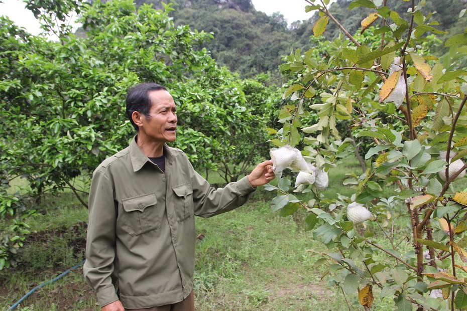 “Cựu tù” tội giết người trở thành nông dân sản xuất giỏi điển hình