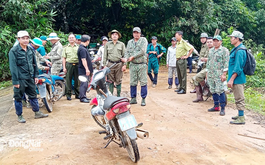 Đồng Nai: Hàng trăm người vào rừng tìm kiếm người đàn ông mất tích