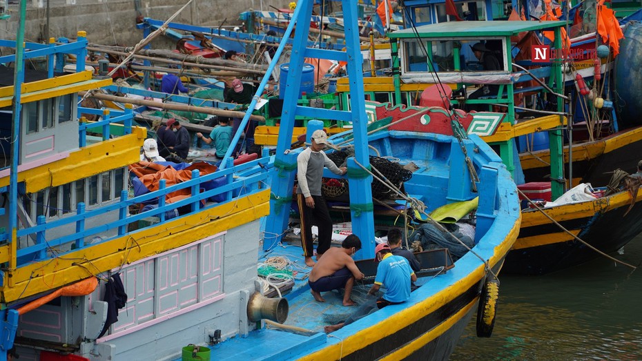 Bình Thuận: Hơn 8,8 tỷ đồng hỗ trợ cho tàu đánh bắt cá xa bờ