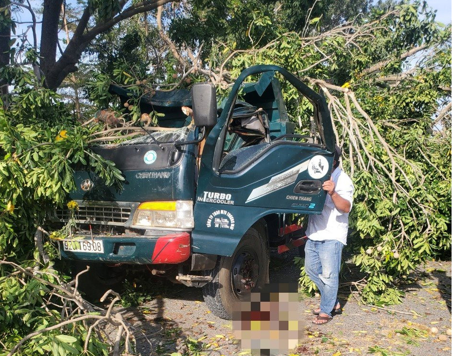 Bình Thuận: Bỗng dưng cây xanh bật gốc đè chết tài xế đang đi trên đường