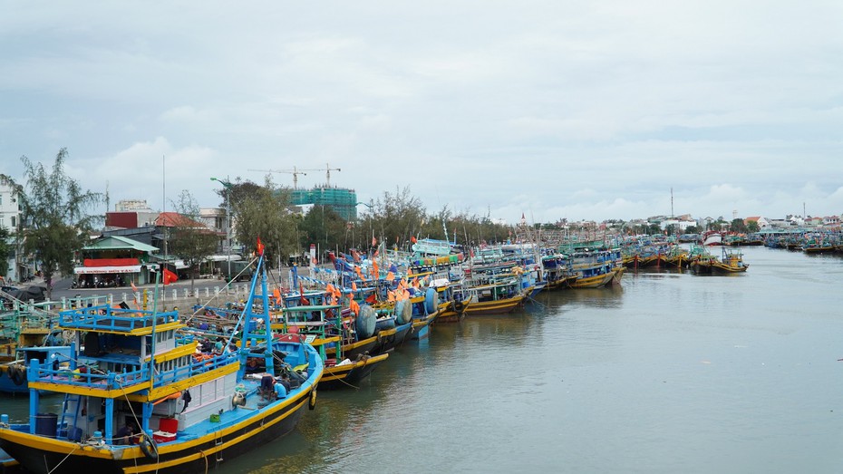 Bình Thuận: Ngăn chặn tàu cá khai thác hải sản bất hợp pháp ở vùng biển nước ngoài