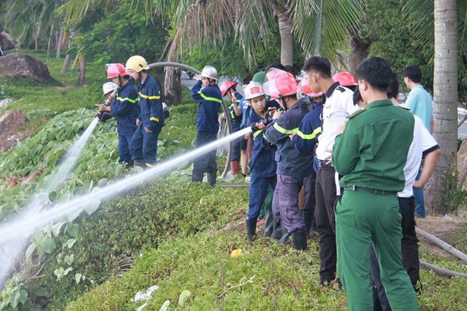 Rừng ở bán đảo Sơn Trà cháy vì du khách bất cẩn