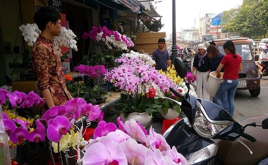 Người Việt "bạo tay" chi 18 triệu USD nhập hoa, cây cảnh chơi Tết