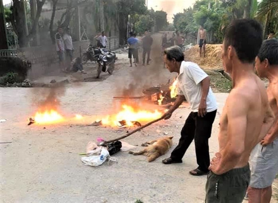 Quảng Bình: Bị phát hiện đang đánh bả chó, “cẩu tặc” dùng dao tấn công người dân