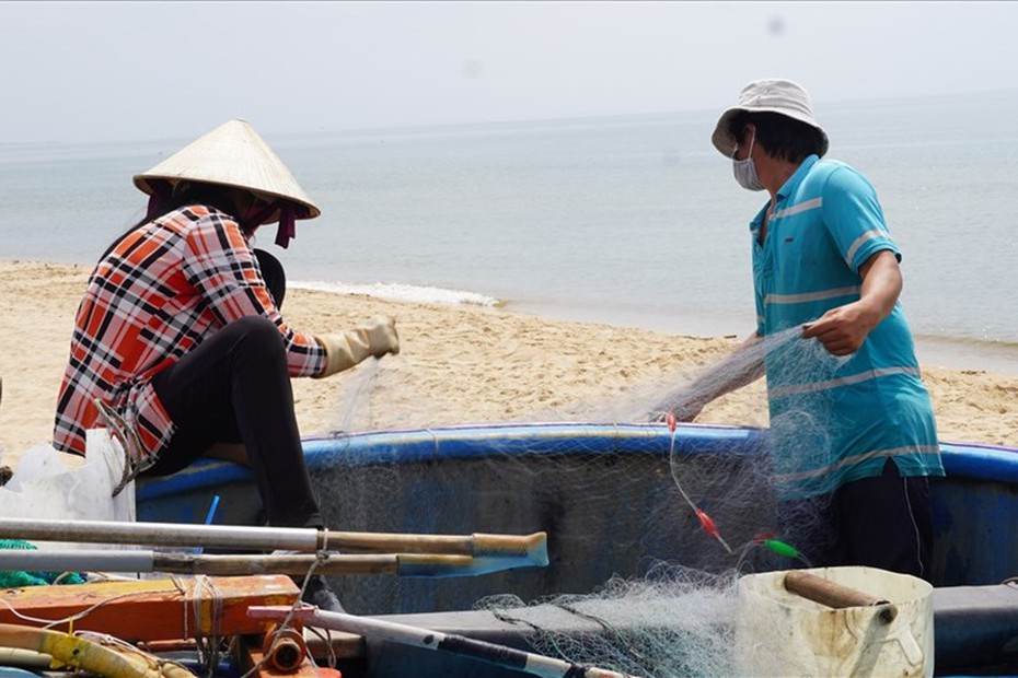 Triển khai cấp thẻ ngư dân "vùng xanh" đánh bắt hải sản gần bờ