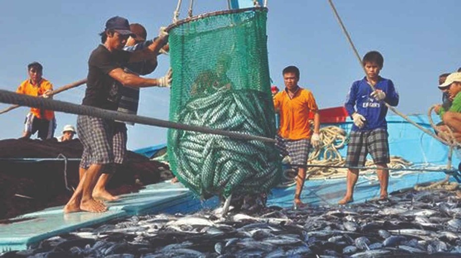 Ninh Thuận: Linh hoạt khai thác thủy sản trong "bình thường mới"