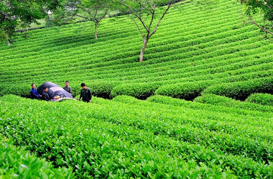 Lời giải cho phát triển nông nghiệp sinh thái bền vững