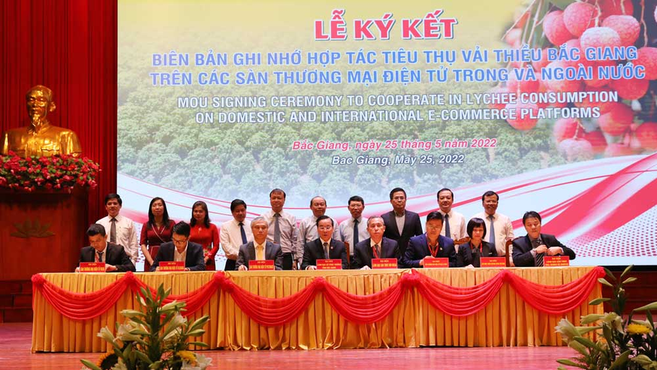 Bắc Giang kết nối tiêu thụ 180.000 tấn vải thiều của mùa vụ 2022