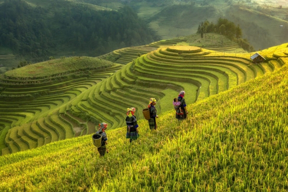 Du lịch dịp nghỉ lễ 2/9 sôi động, tour ngắn ngày lên ngôi