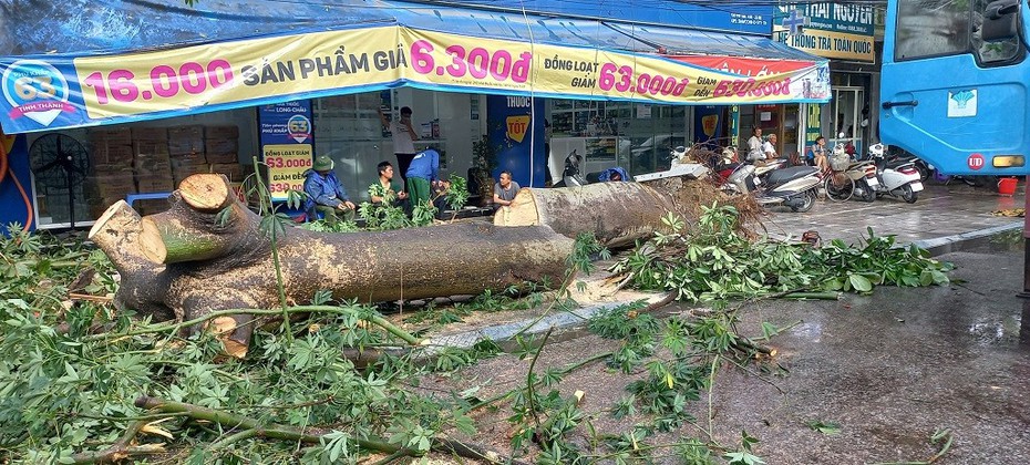 Lý giải nguyên nhân cây đổ, nước ngập tại Tp.Thanh Hóa