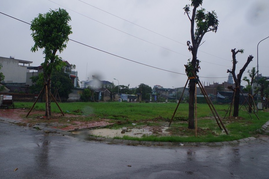 Đấu giá thuận lợi đến bất ngờ, nhà đầu tư khu dân cư Bắc cầu Sâng thắng lớn?