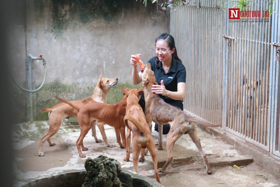 Cận cảnh đàn chó bạc tỷ của cô gái xinh đẹp Hà thành