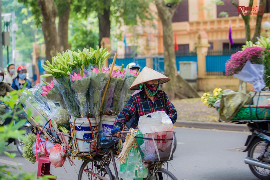 Hoa sen đầu mùa rong ruổi khắp phố phường Hà Nội