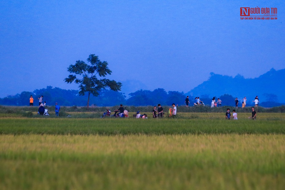 Hà Nội: Người dân tụ tập thả diều "bỏ quên" khuyến cáo của thành phố