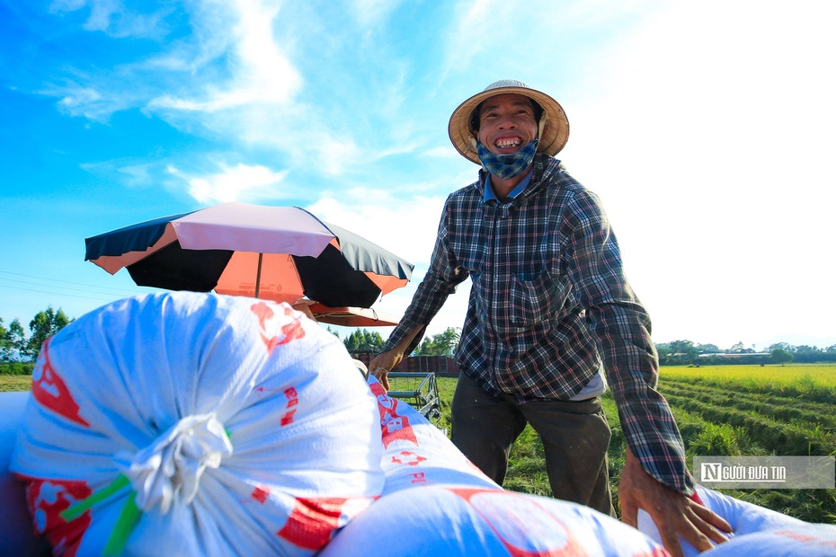 Hà Nội: Tháo gỡ khó khăn trong việc thực hiện chính sách "tam nông"