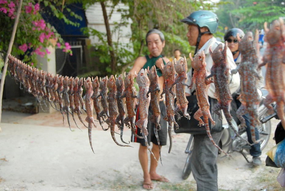 Rùng mình bước vào khu chợ "độc dược" ở miền Tây