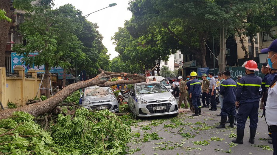 Cây cổ thụ bất ngờ gãy đổ, đè bẹp ba chiếc taxi đang đón khách