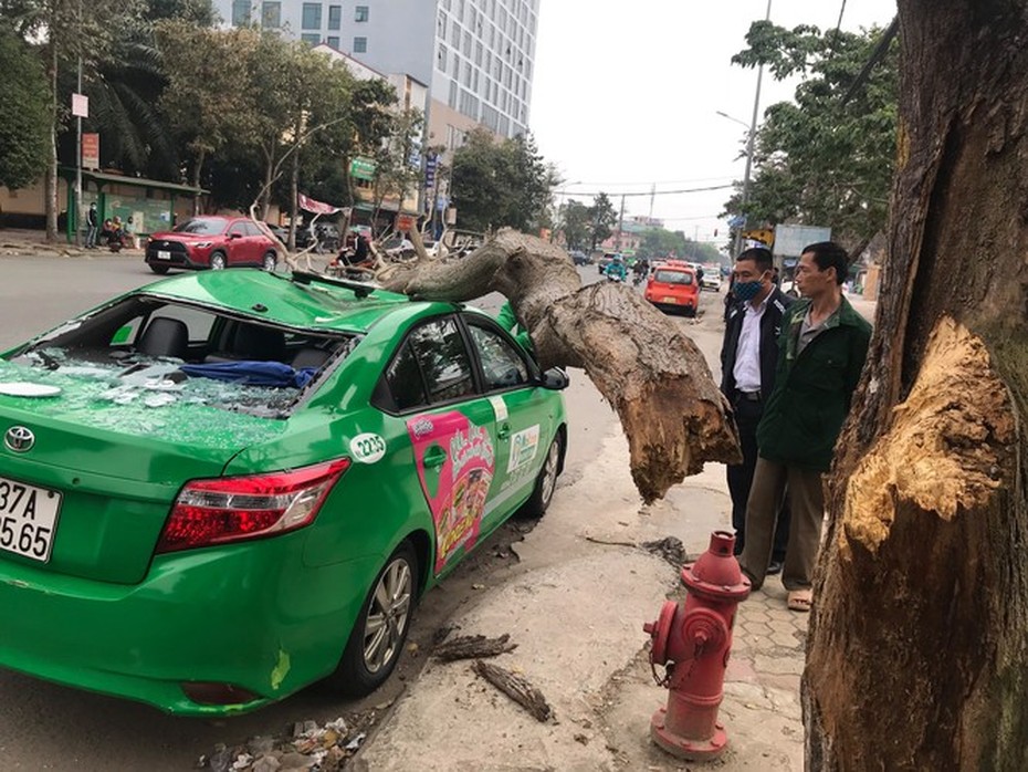 Cành cây gãy đè xe taxi bẹp rúm, 2 người thoát nạn trong gang tấc